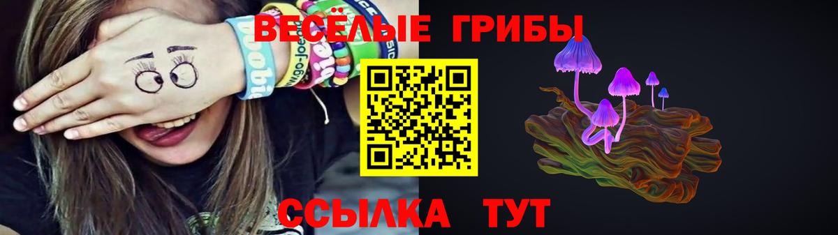 Псилоцибиновые грибы мухоморы Ишимбай